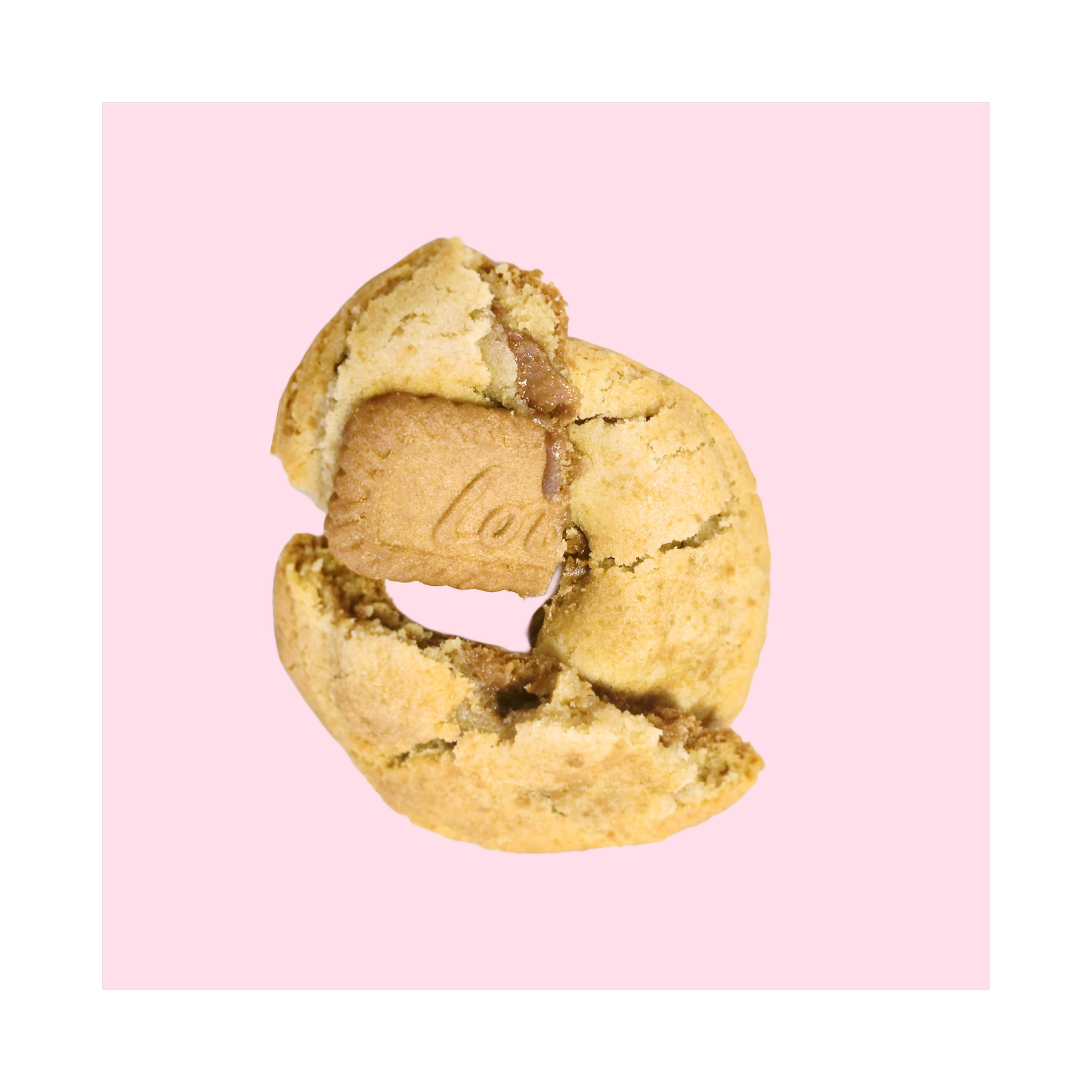 Cookie Butter Doodle Cookie