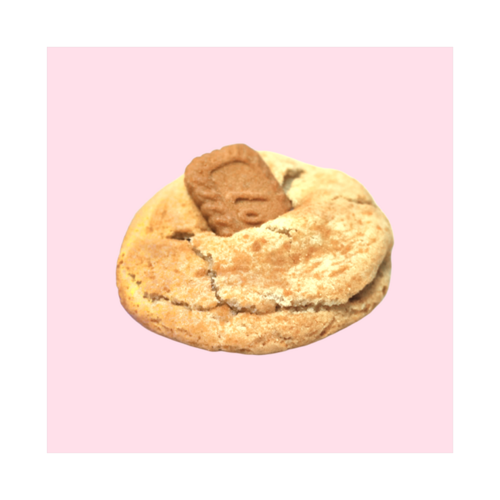 Cookie Butter Doodle Cookie