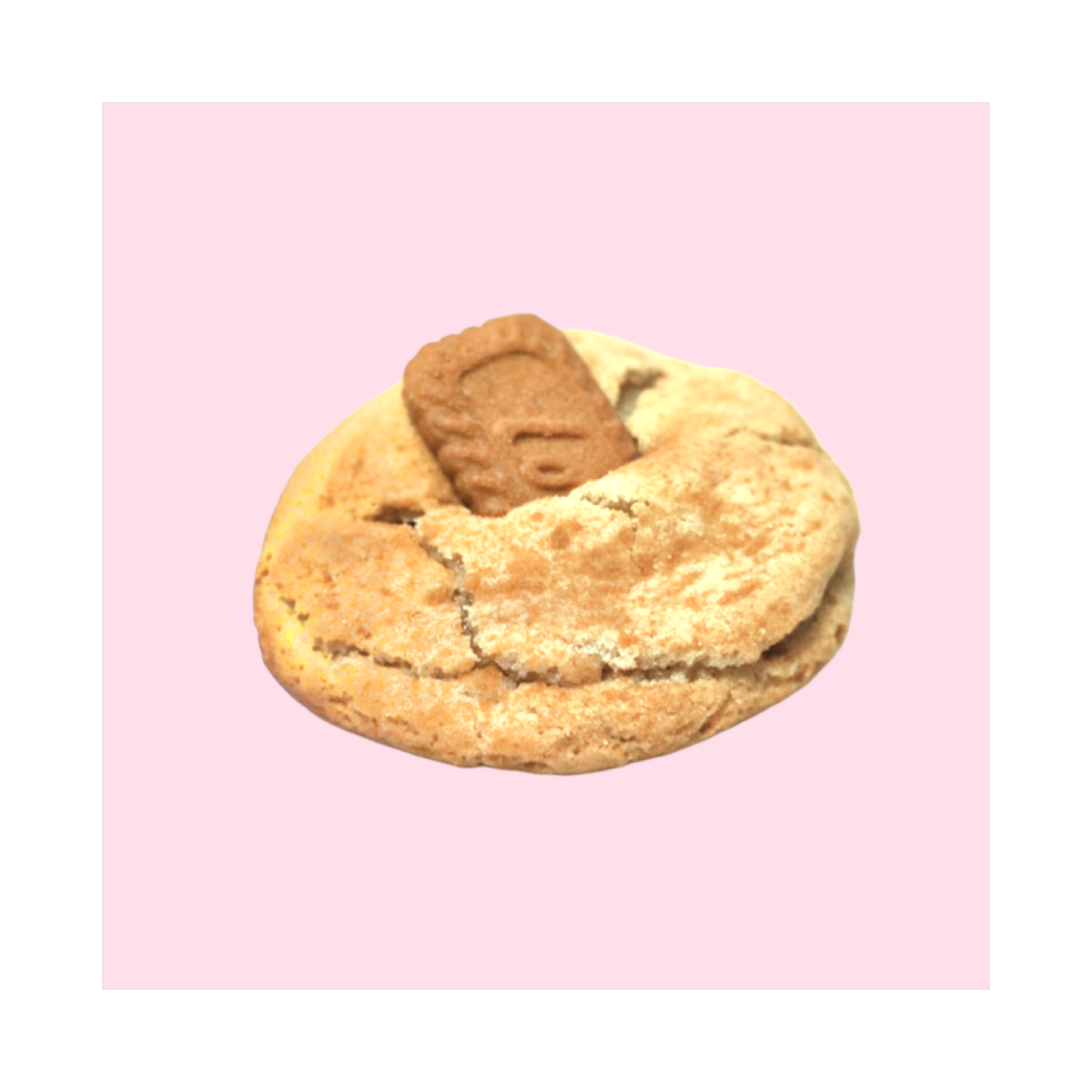 Cookie Butter Doodle Cookie
